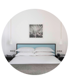 Hotel palm